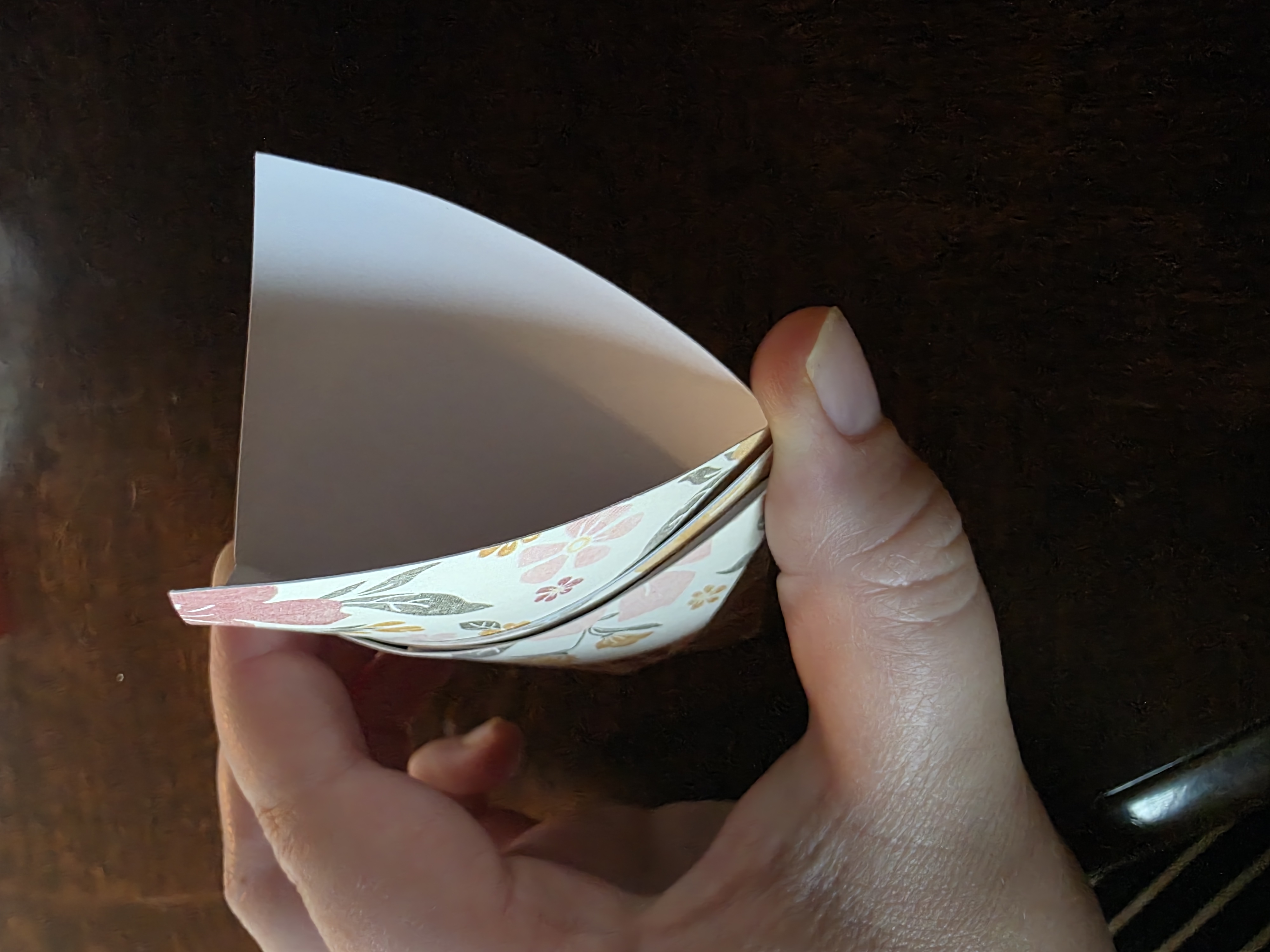 Step 5 of Seed Packet